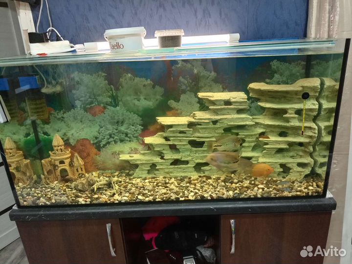 Украшение для аквариума