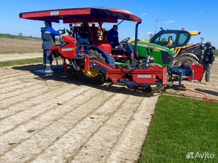 Рулонный газон