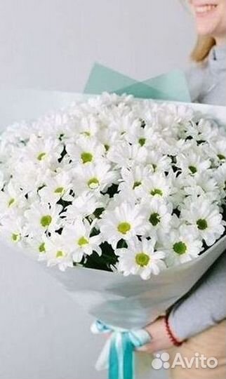 Хризантема Доставка цветов Букеты