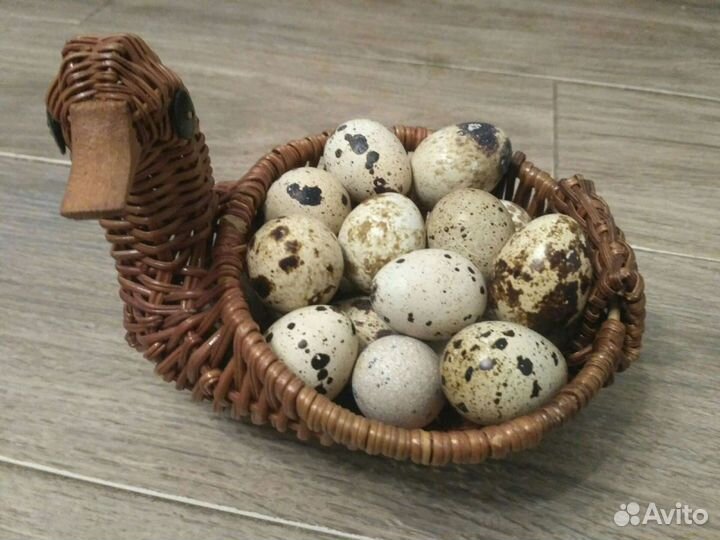 Яйца перепелиные