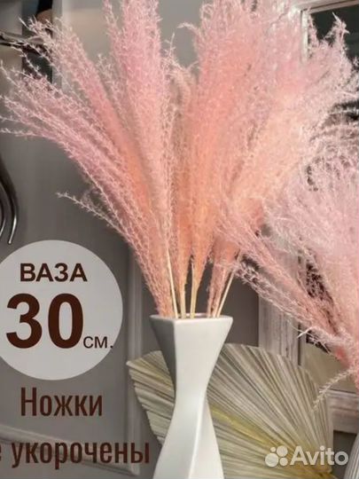 Декоративная трава