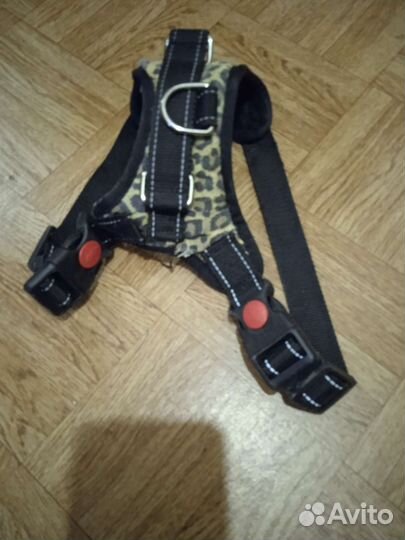 Шлейка для небольшой собачки