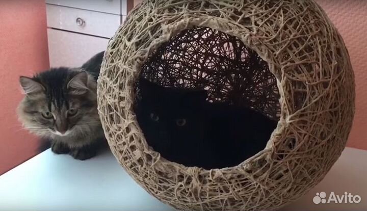 Кокон для кошки