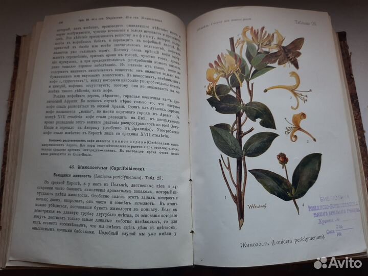 О.Шмейль.Очерчки из жизни растений.1909г. Редкость
