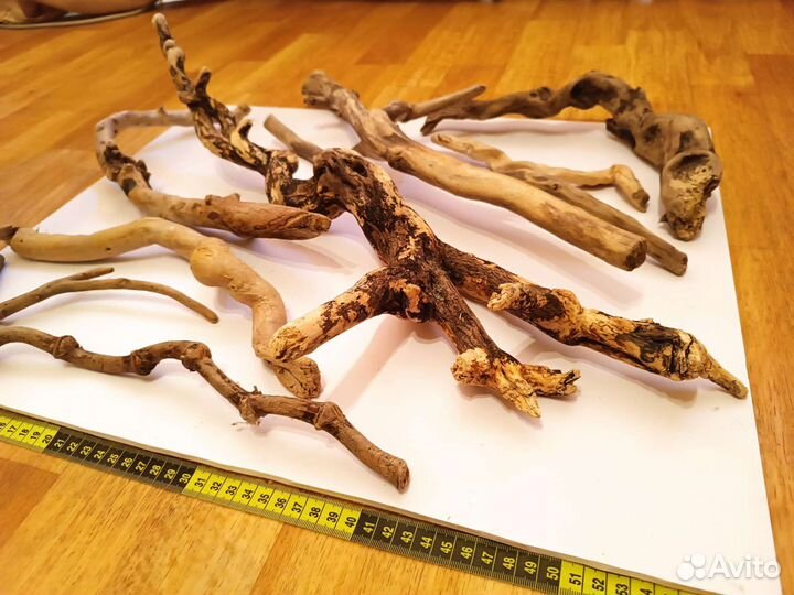 Коряги дрифтвуд, террариум,творчество, аквариум