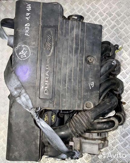 Двигатель Ford Fusion 1