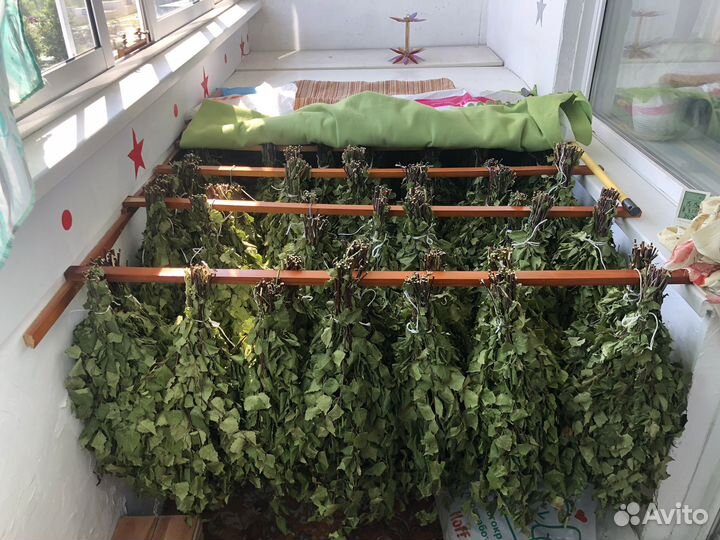 Березовые веники