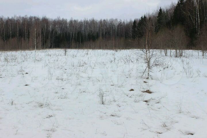 Участок 15 сот. (ИЖС)