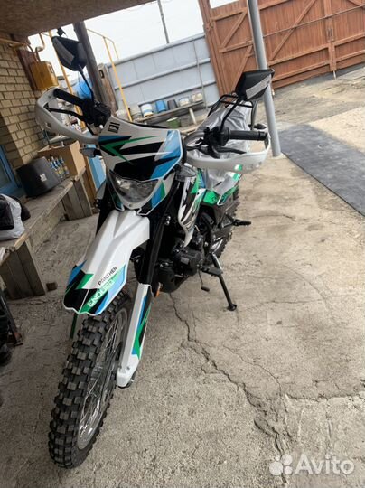 Racer panthers 250