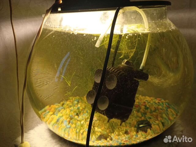 Аквариум