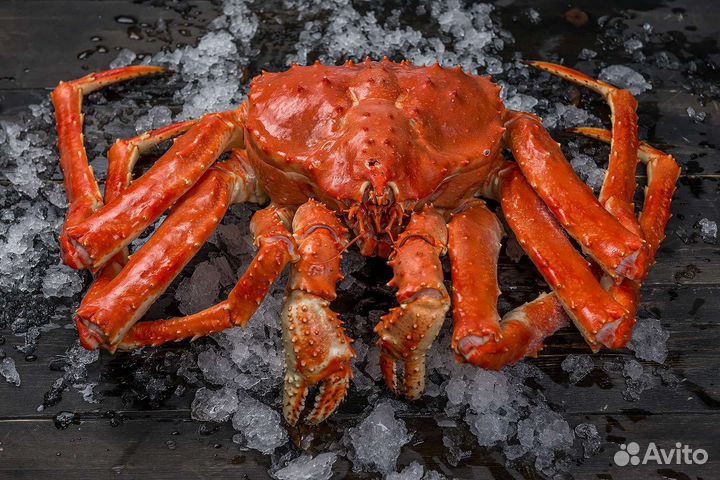 Клешни камчатского краба