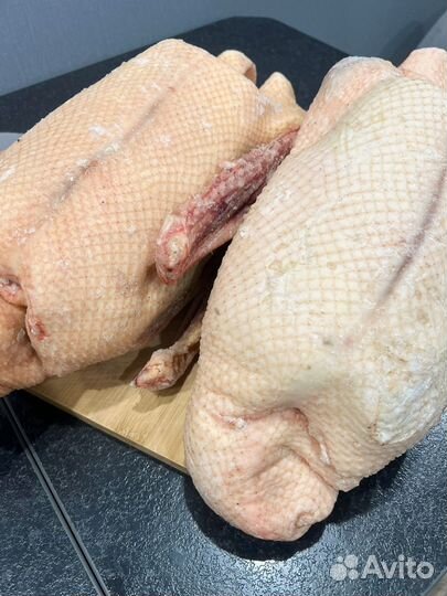 Гусь домашняя мясо Иркутск