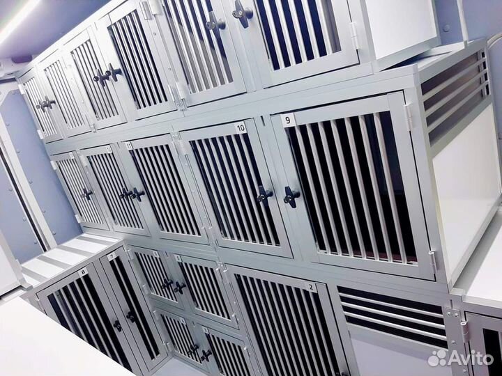 Зоотакси от 500. Доставка по Москве, РФ и миру