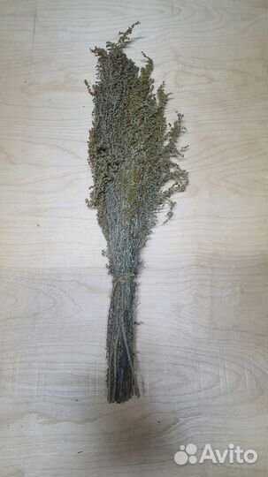 Травы для бани