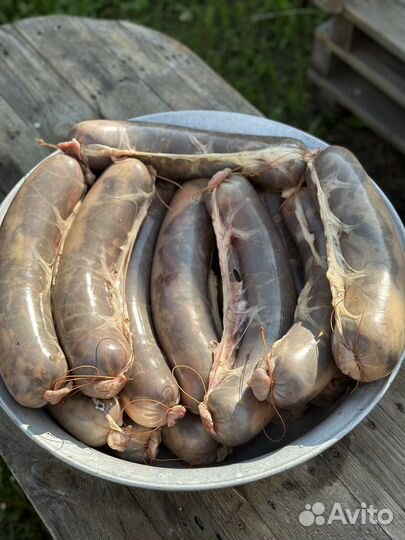 Казы конина