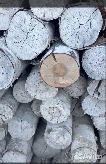 Лес (кругляк) Ель, Сосна, Береза