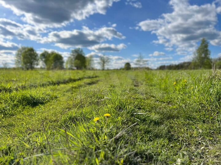 Участок 6 сот. (ИЖС)