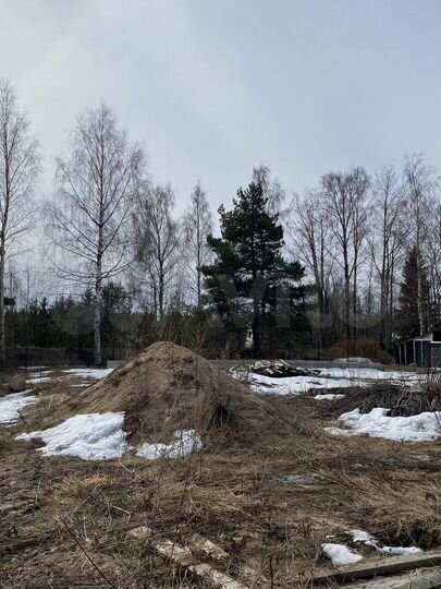 Участок 10,1 сот. (СНТ, ДНП)