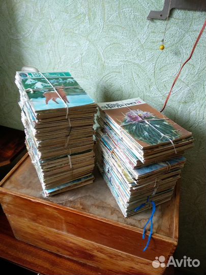 Журналы Юный натуралист