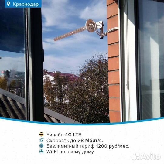 Беспроводной интернет для организаций набор № 235