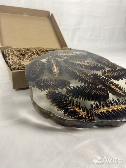 Доска для подачи