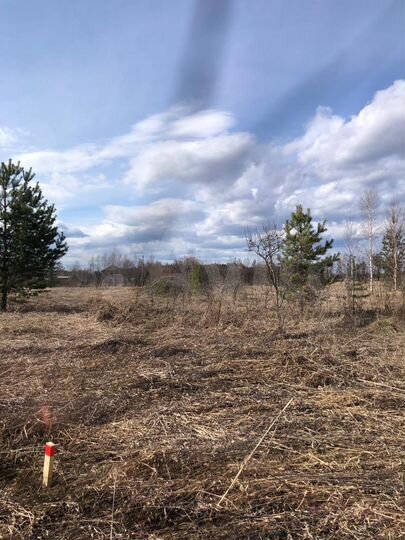 Участок 12 сот. (ИЖС)