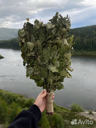 Березовый веник для бани