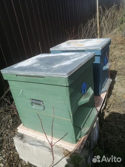 Улей для пчел Дадановский