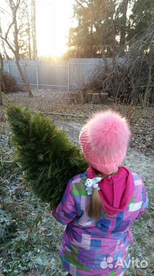 Ёлка из веток оптом. Икебана