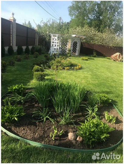 Садовыая лента