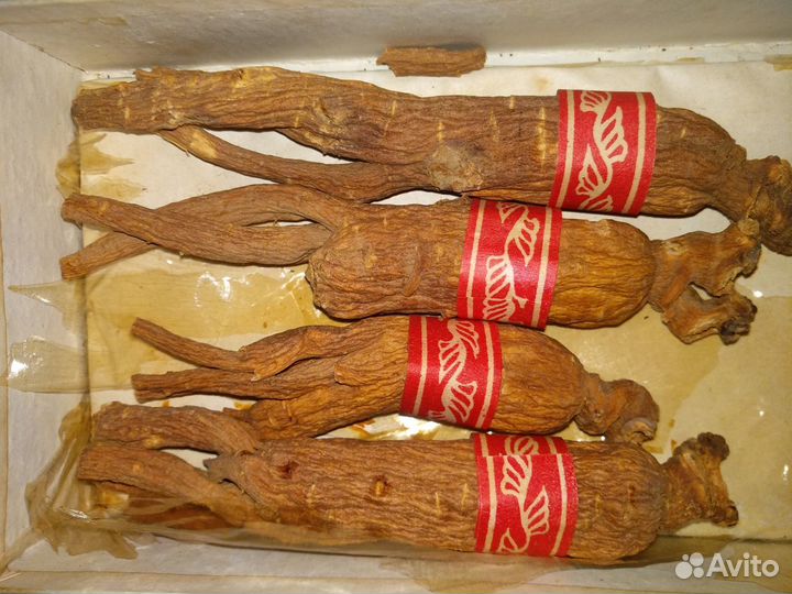 Красный корень женьшеня