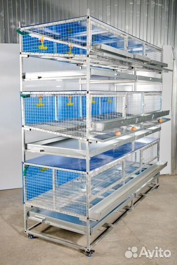 Клетка для кур