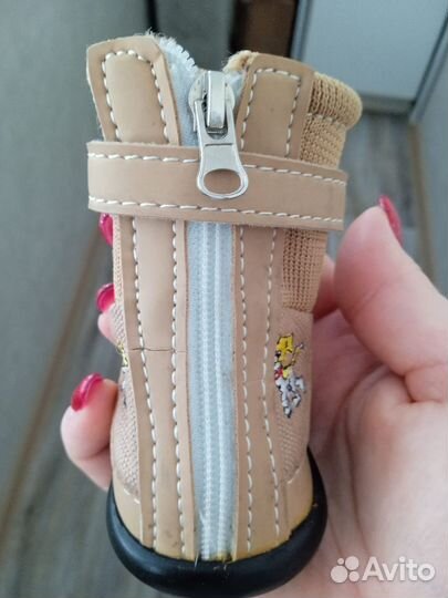 Ботинки для маленьких собак