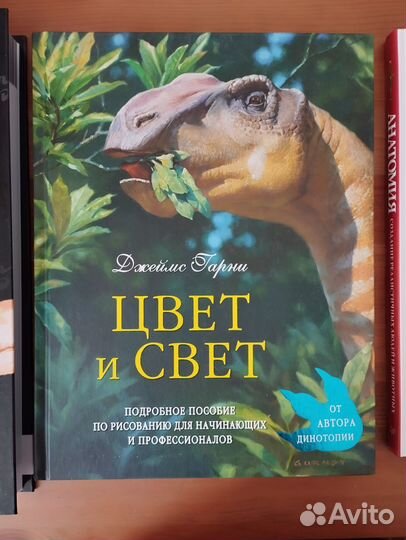 Анатомия Неттера, Цвет и свет, Анатомия. Рисование