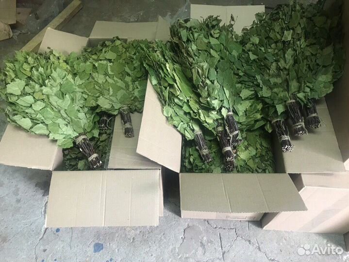 Веники Дубовые, берёзовые, липовые, и др для бани