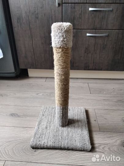 Когтеточка