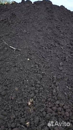 Чернозем рязанский