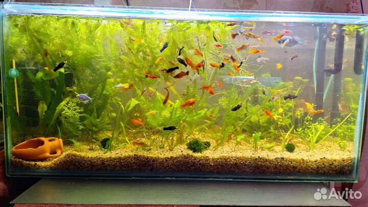 Аквариум с тумбой 150 литров
