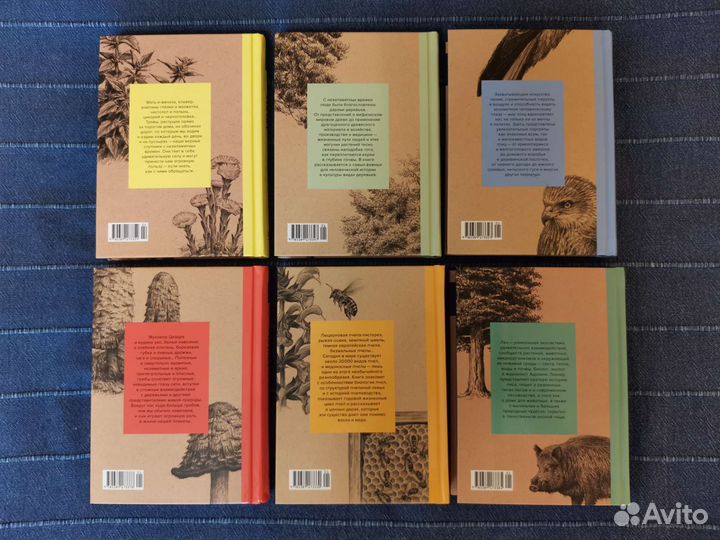 Комплект книг из серии 