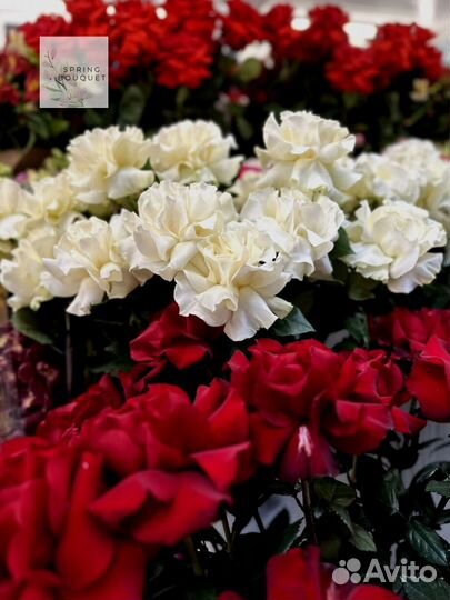 Цветы на день всех влюбленных