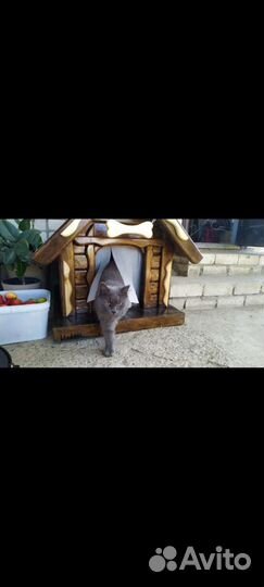 Будка для собаки из массива дерева