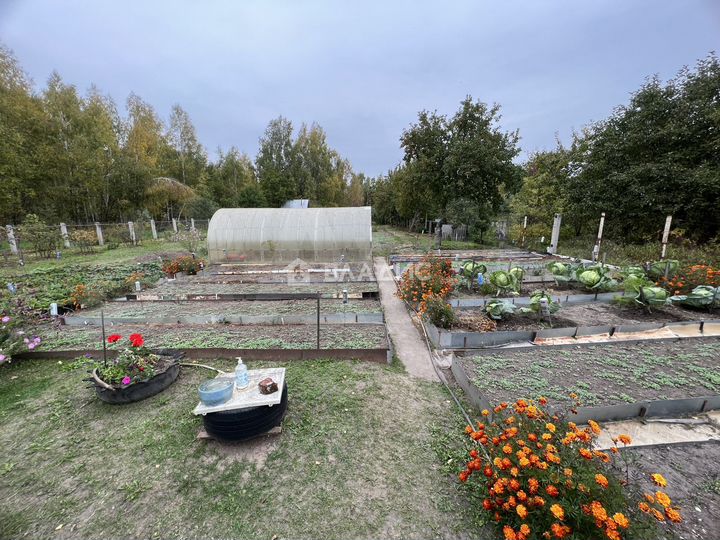 Дом 40 м² на участке 19 сот.