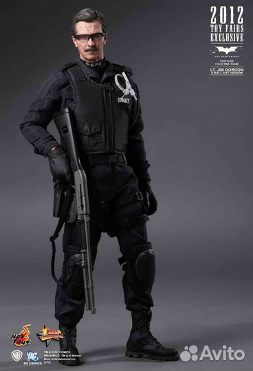 Hot toys The Dark Knight Lt. Jim Gordon