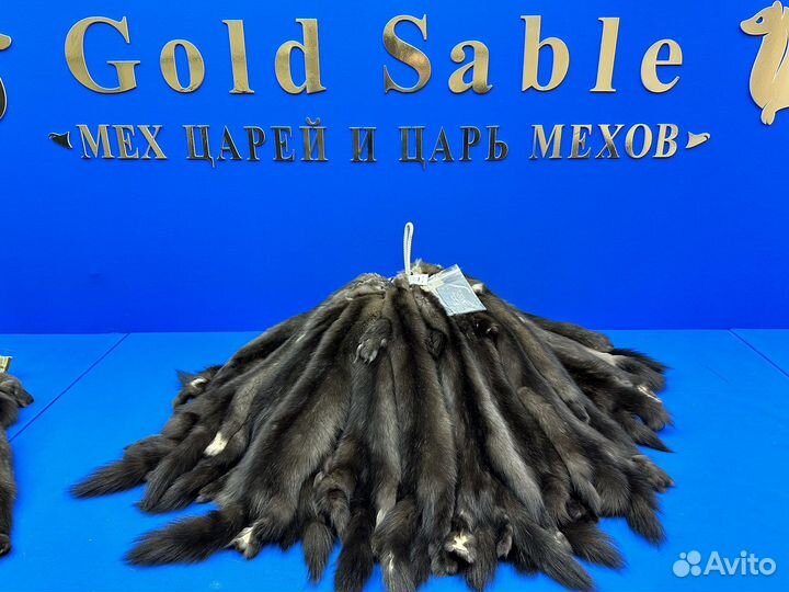 Аукционный мех соболя. Шкуры соболя. N57N168