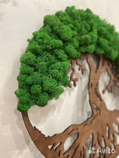 Панно из мха