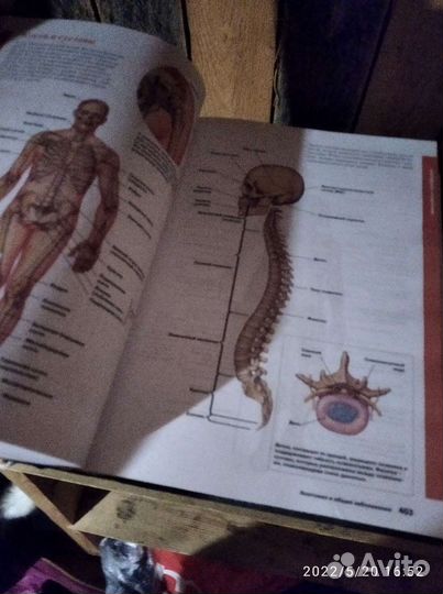 Большая медицинская энциклопедия