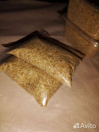 Улитки ахатины,рыбки, гаммарус, корм