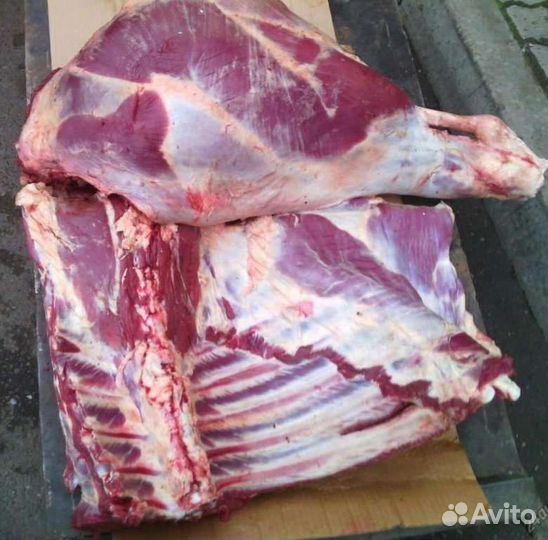 Продам мясо говядина