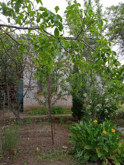 Дача 108 м² на участке 9 сот.