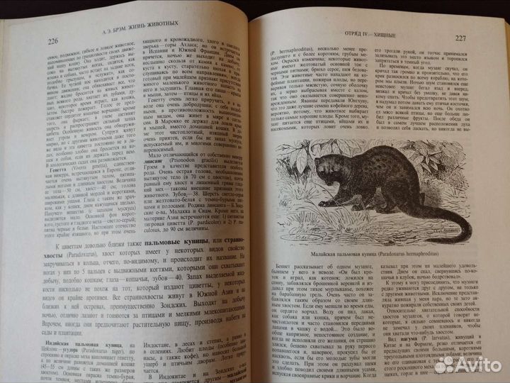 А. Э. Брем Жизнь животных в трёх томах